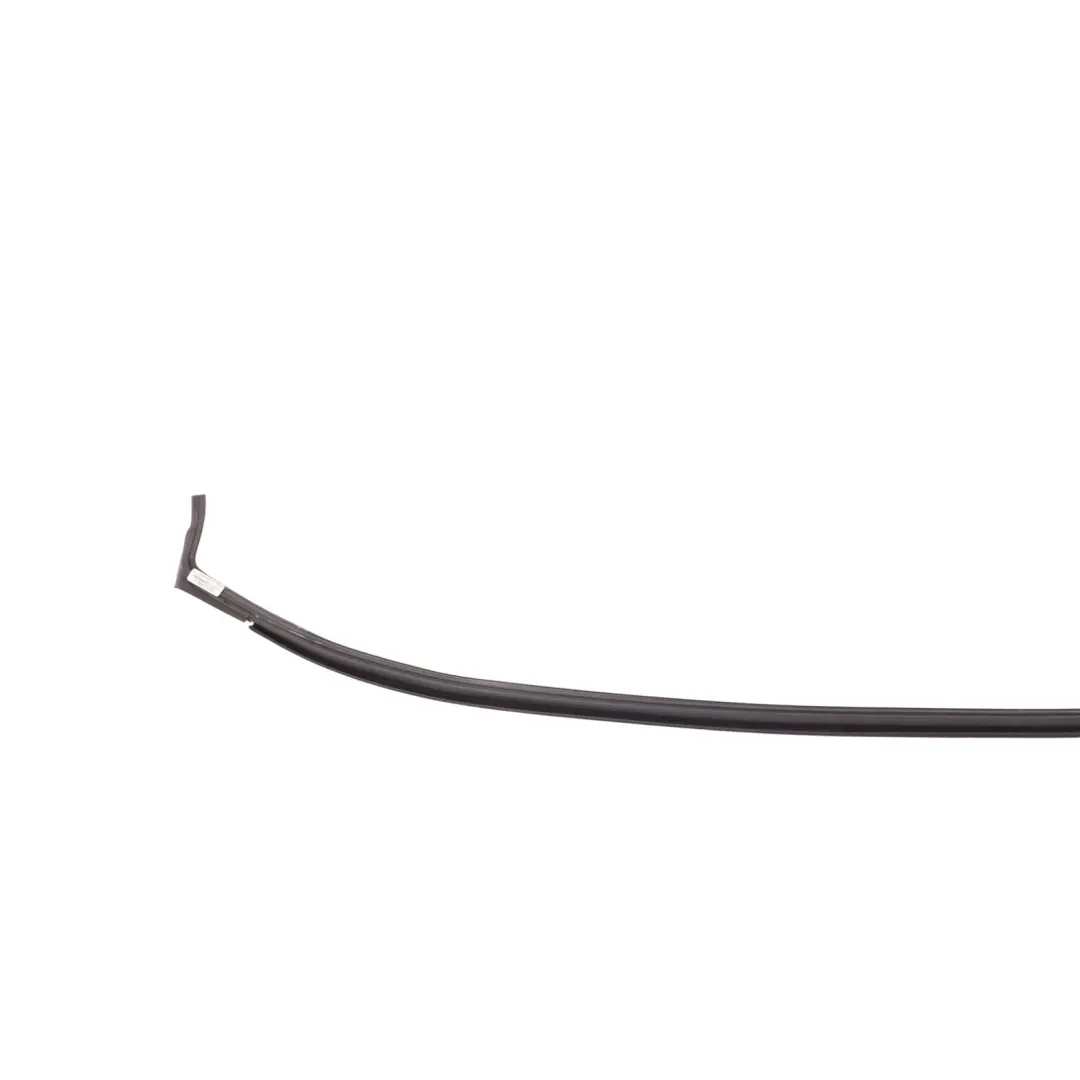 BMW F01 F02 F04 Rear Window Tailgate Rubber Seal Gasket - SKU 7184569 - Part number 7184569