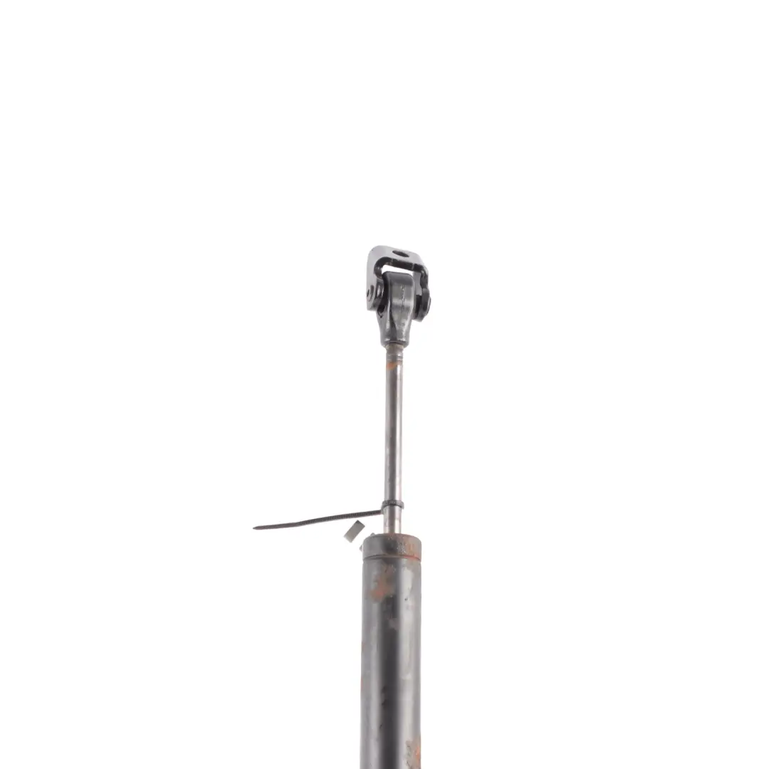 BMW F01 F02 F03 F04 Door Limiter Damper Strut Rear Left N/S - SKU 7191285 - Part number 7191285