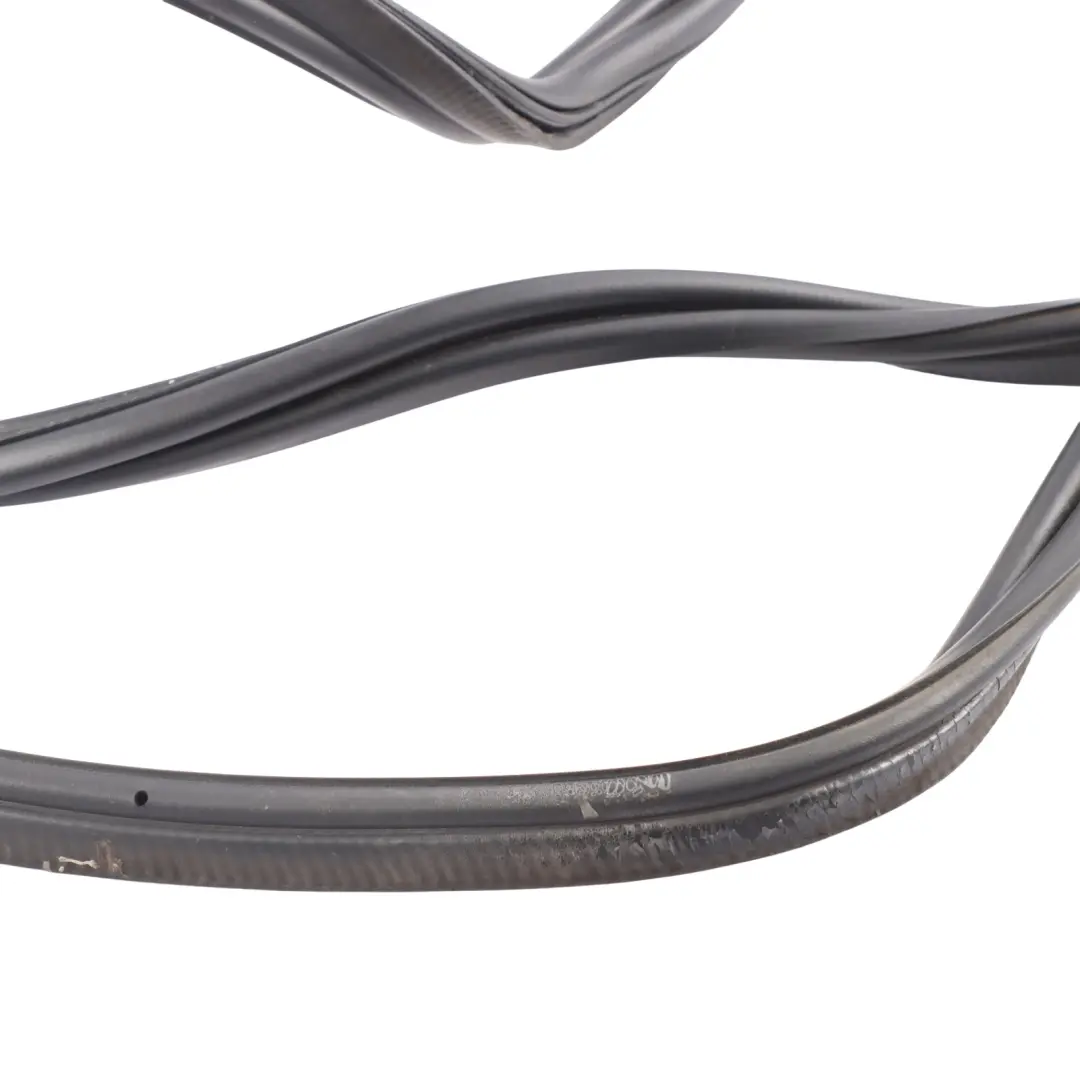 BMW F31 Touring Junta Tapa Trasera Tailgate Caucho Sellado - SKU 7327999 - Número de pieza 7327999