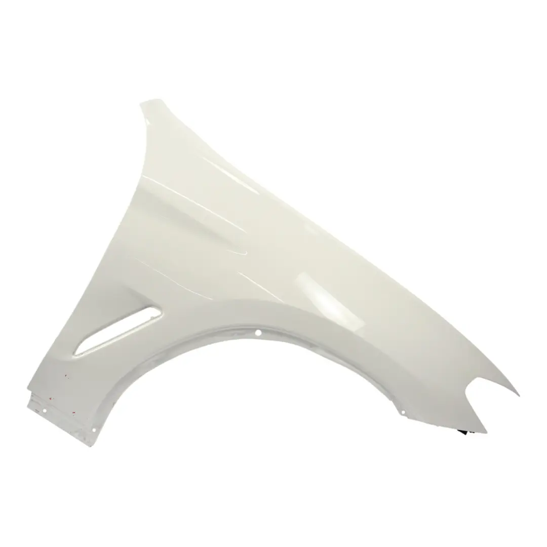 BMW X3 G01 X4 G02 Pannello Parafango Laterale Anteriore Destro Alpinweiss 3 300 - SKU 7930972-AW - Numero di parte 7930972
