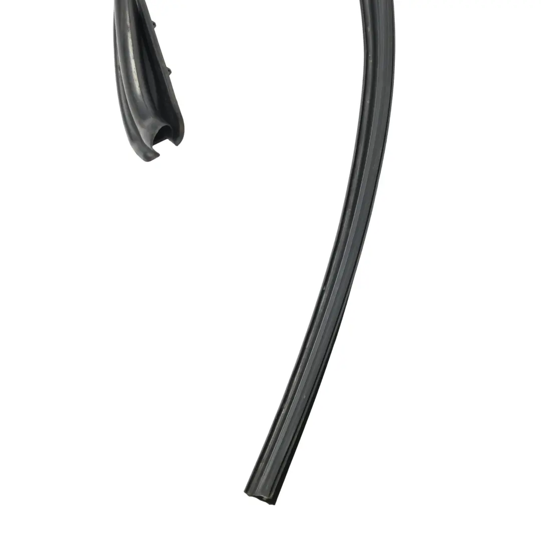 BMW F45 Fensterführung Dichtung Tür Hinten Links Dichtung - SKU 8498413 - Teilenummer 8498413