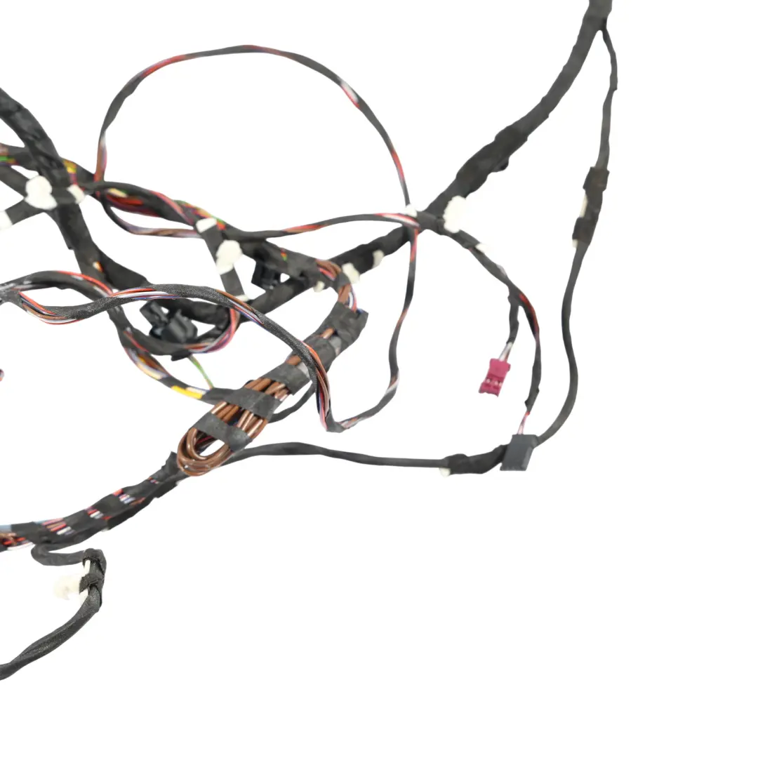 BMW X3 G01 Door Wire Loom Driver Side Front Right O/S - SKU 8792845 - Part number 8792845