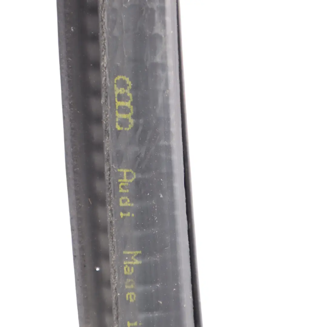 Audi A3 8P Hintere Tür Dichtung Links Rechts Innerer Schutz Dichtung - SKU 8P4833721 - Teilenummer 8P4833721