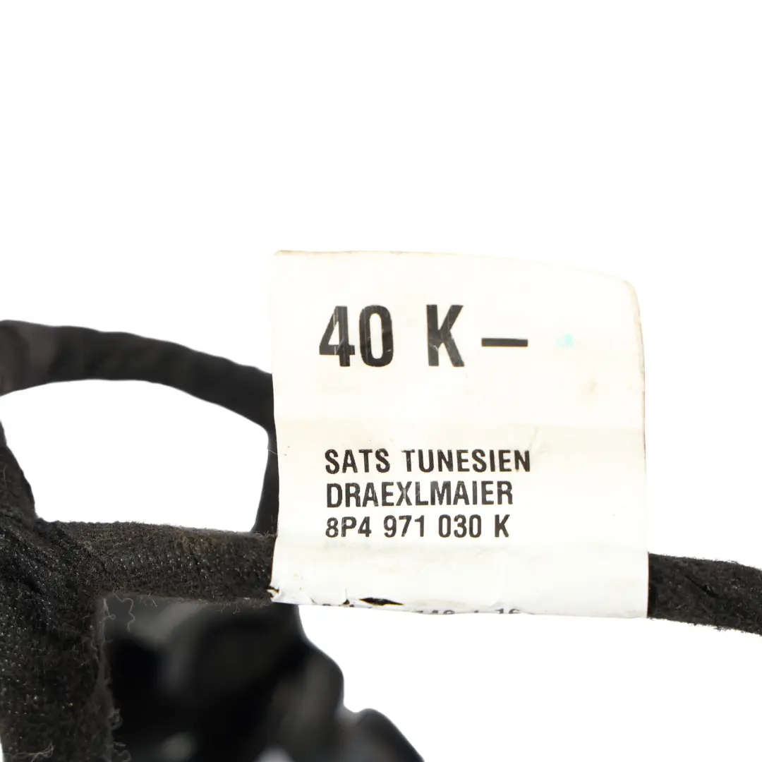 Audi A3 8P Kabel Tür Kabelbaum Beifahrer Vorne Links - SKU 8P4971030K - Teilenummer 8P4971030K