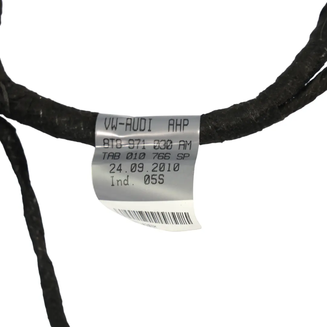 Audi A5 8T Vorder Tür Kabel Baum Kabelstrang Beifahrer Seite - SKU 8T8971030AM - Teilenummer 8T8971030AM
