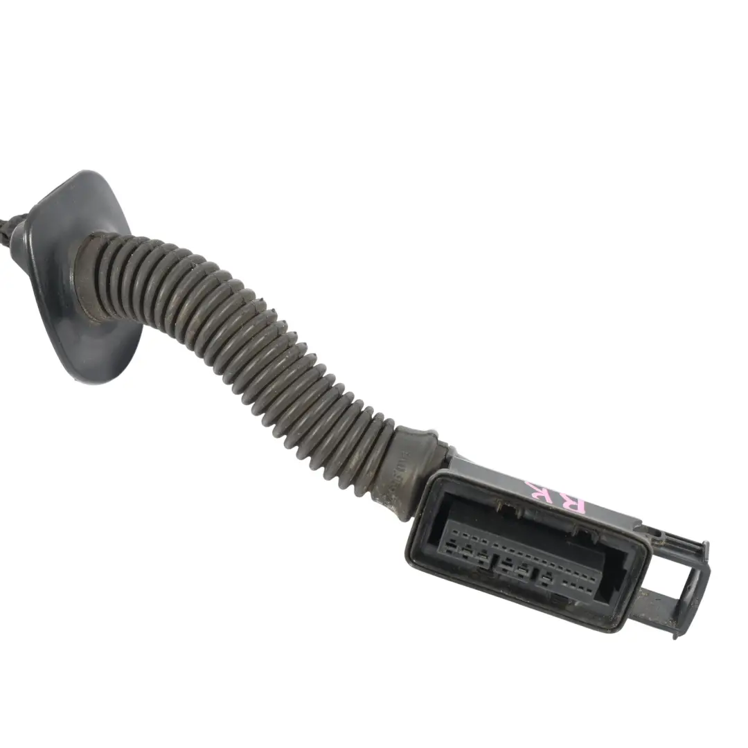 Puerta Cableado Mazo Cable Trasero Derecho para Audi A5 S5 8T con número de pieza 8T8971688S Audi A5 S5 8T Puerta Cableado Mazo Cable Trasero Derecho - SKU 8T8971688S - Número de pieza 8T8971688S