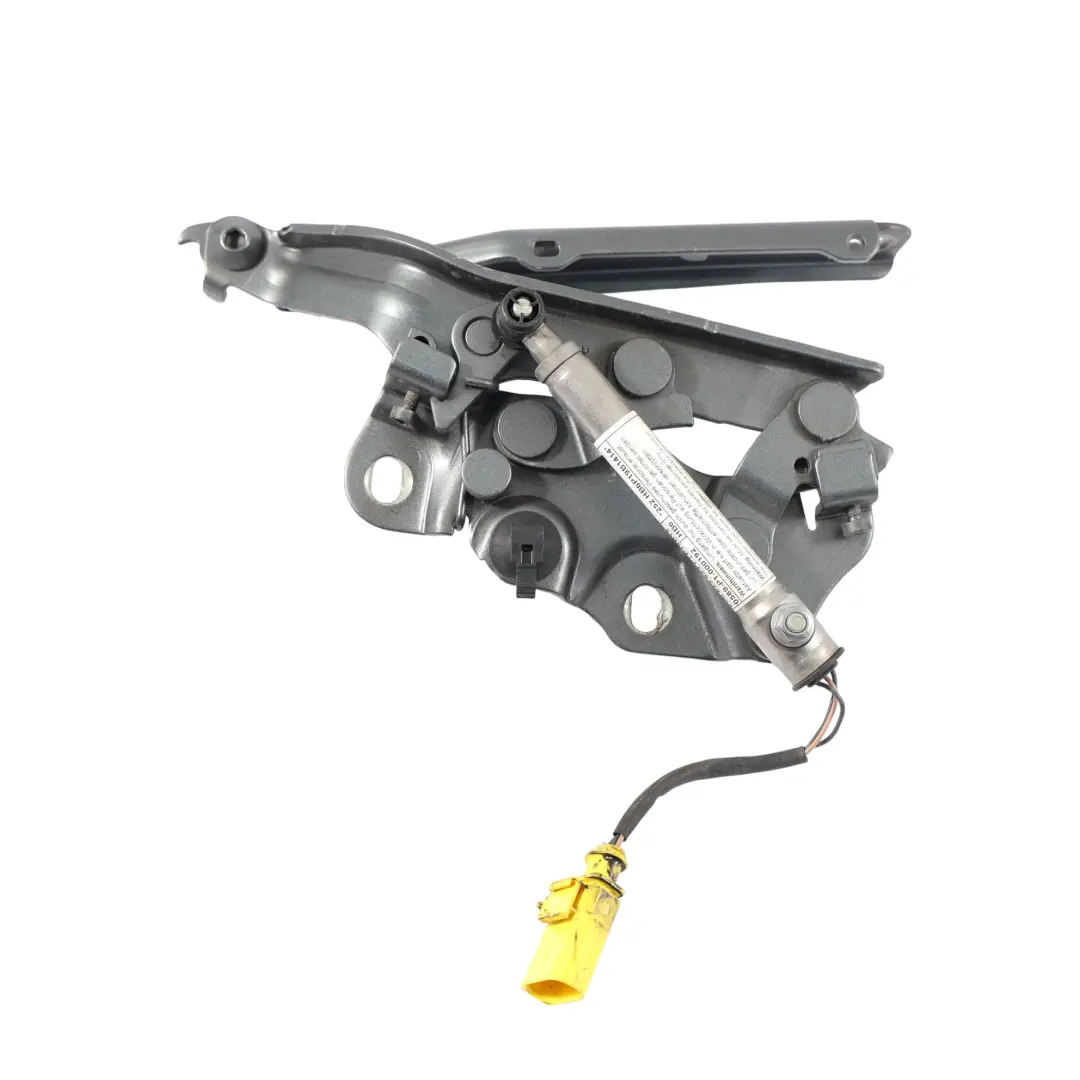 Zawias Maski Lewy Przód Monsoon Grey - X7R do Audi A3 8V o numerze 8V0823301F Audi A3 8V Zawias Maski Lewy Przód Monsoon Grey - X7R - SKU 8V0823301F-MOG - Numer Części 8V0823301F