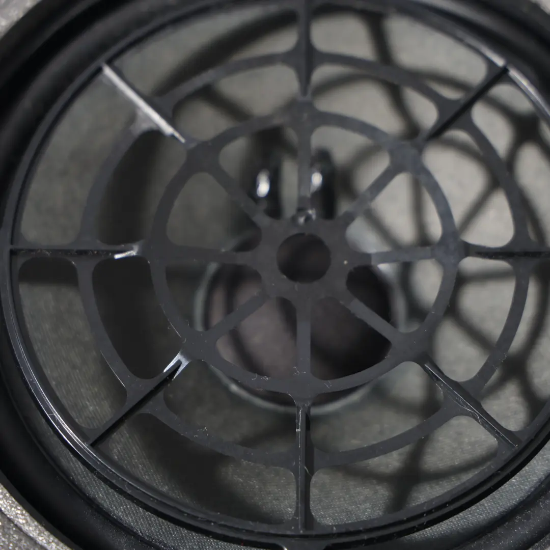 Audi S5 F5 Altavoz De Graves Altavoz Trasero Izquierdo Derecho - SKU 8W6035411A - Número de pieza 8W6035411A