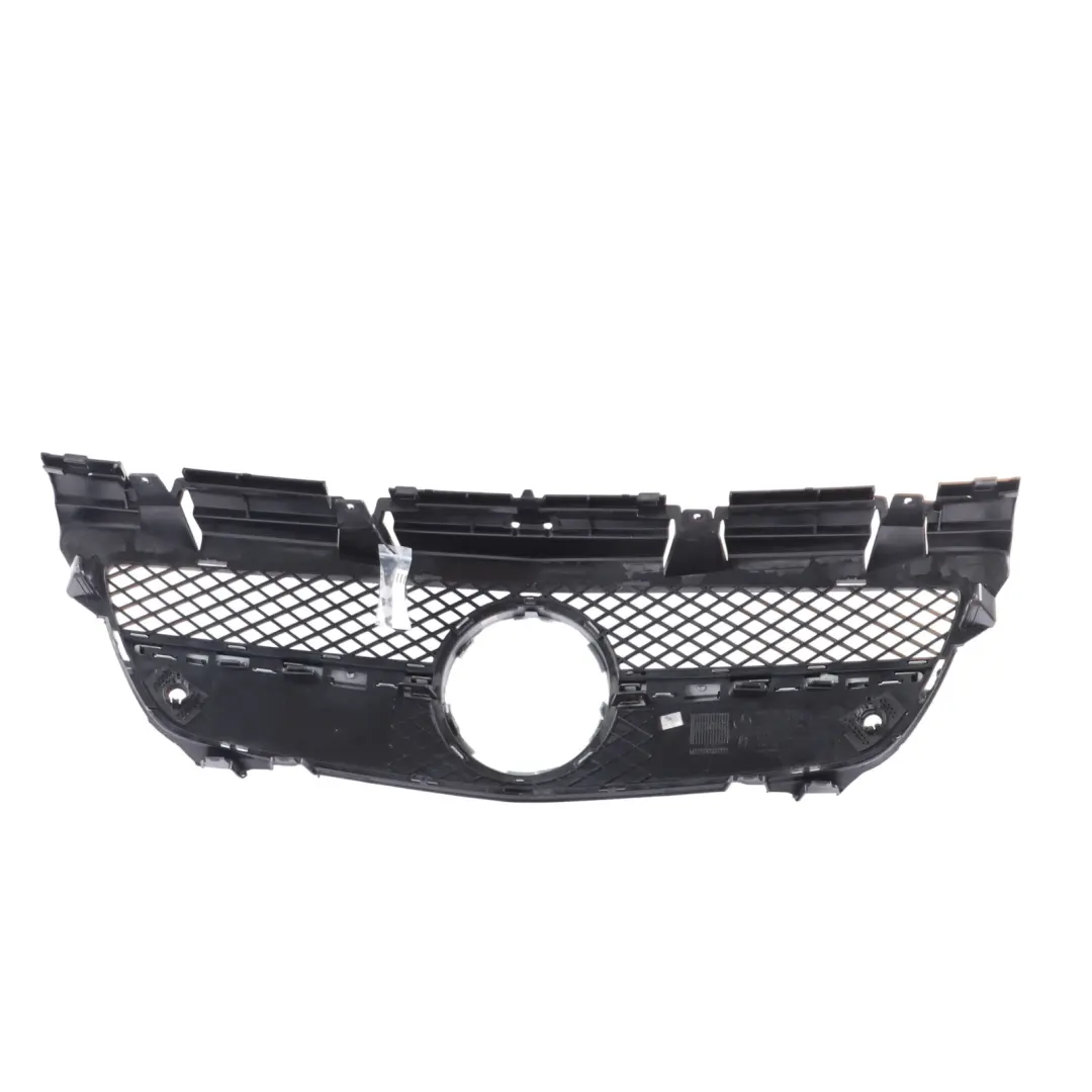2013 Protective Grill Grille Radiator Carrier to Mercedes SLK AMG SP with Part number A1728880560 Mercedes SLK AMG SP 2013 Protective Grill Grille Radiator Carrier - SKU A1728880560 - Part number A1728880560