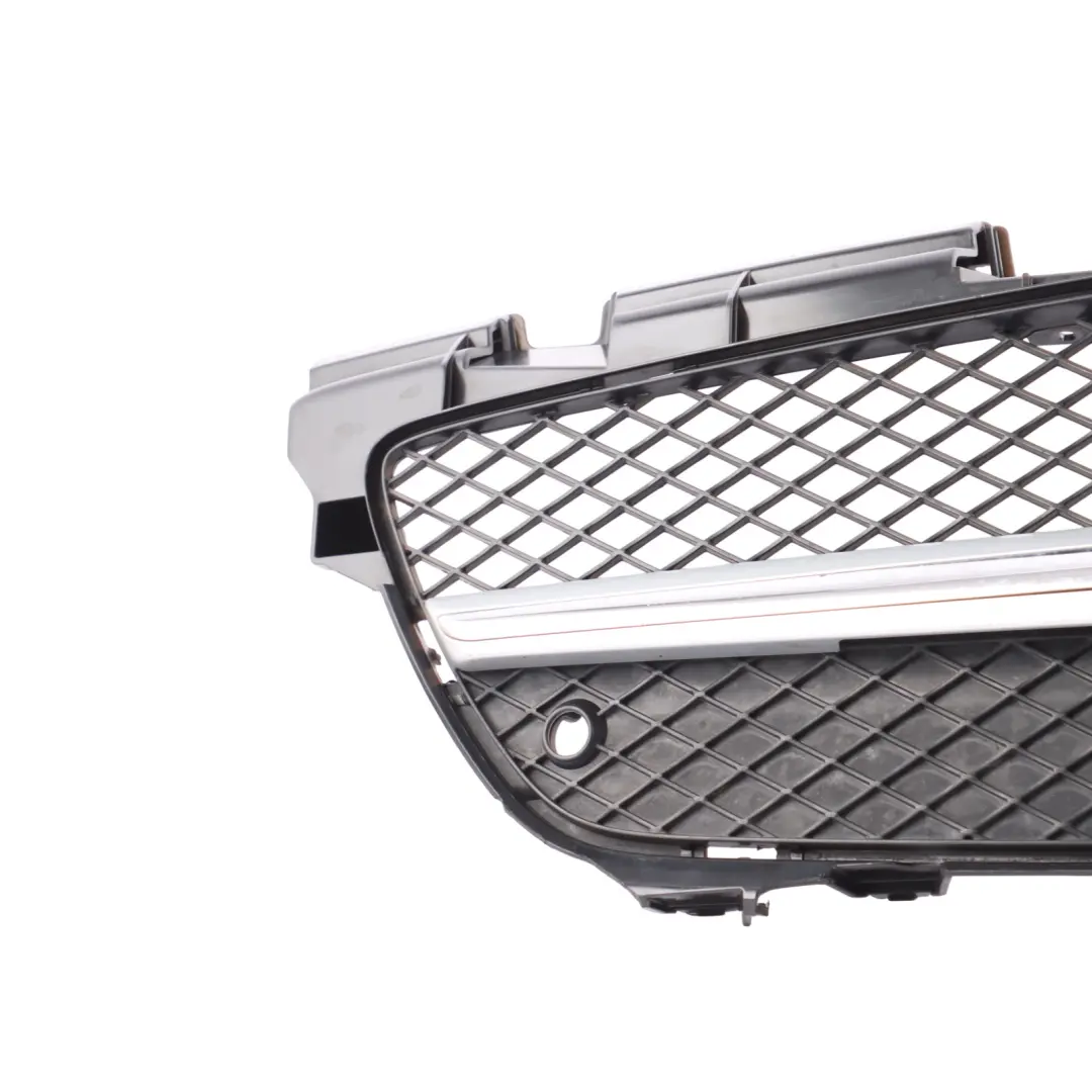 Mercedes SLK AMG SP 2013 Protective Grill Grille Radiator Carrier - SKU A1728880560 - Part number A1728880560