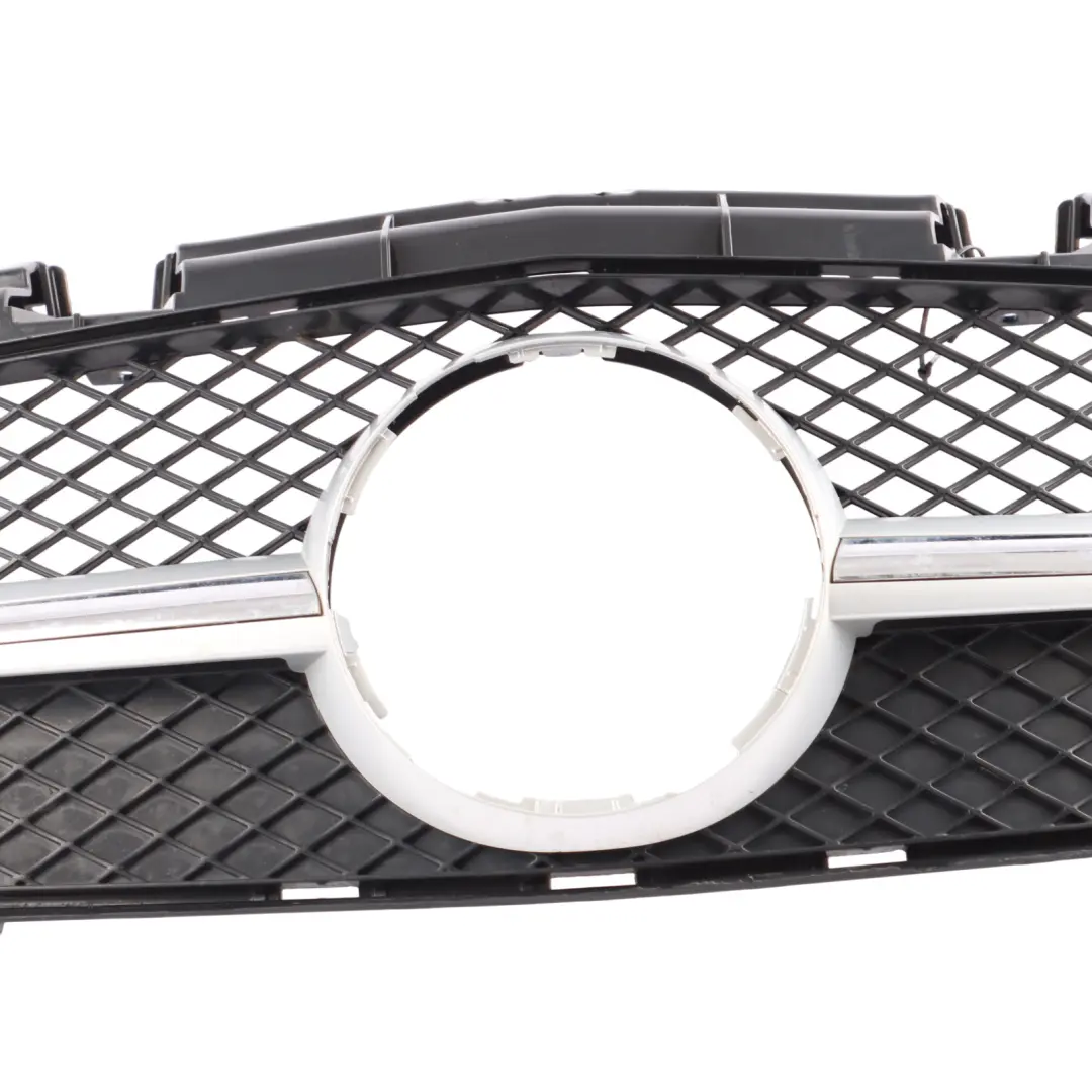 2013 Protective Grill Grille Radiator Carrier to Mercedes SLK AMG SP with Part number A1728880560 Mercedes SLK AMG SP 2013 Protective Grill Grille Radiator Carrier - SKU A1728880560 - Part number A1728880560