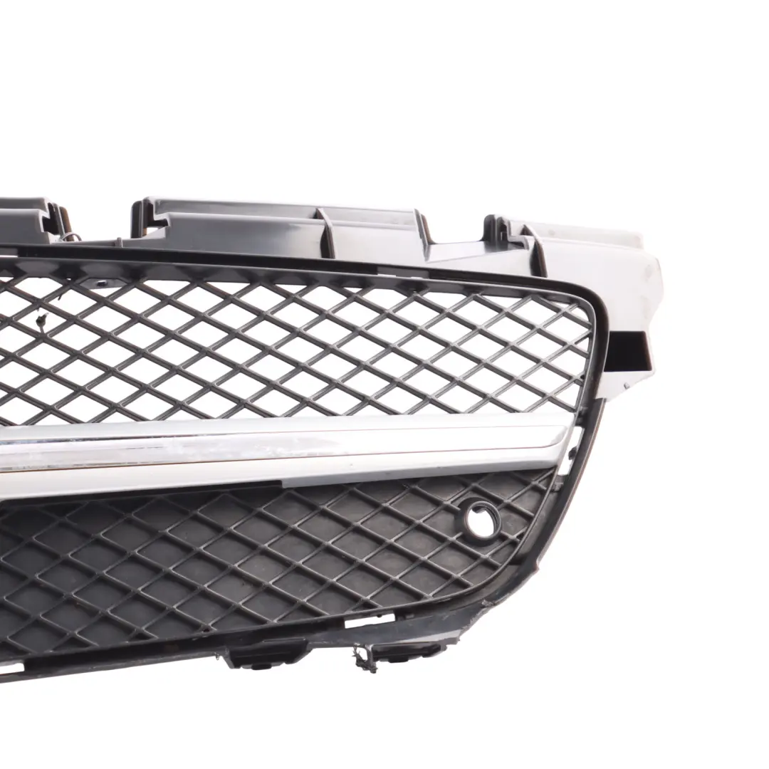 2013 Protective Grill Grille Radiator Carrier to Mercedes SLK AMG SP with Part number A1728880560 Mercedes SLK AMG SP 2013 Protective Grill Grille Radiator Carrier - SKU A1728880560 - Part number A1728880560