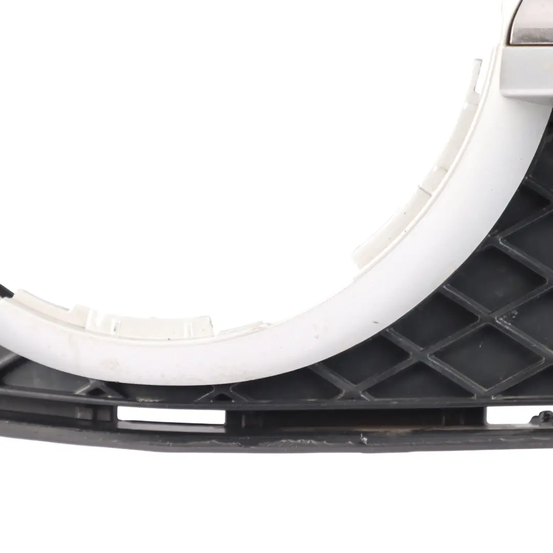 2013 Protective Grill Grille Radiator Carrier to Mercedes SLK AMG SP with Part number A1728880560 Mercedes SLK AMG SP 2013 Protective Grill Grille Radiator Carrier - SKU A1728880560 - Part number A1728880560