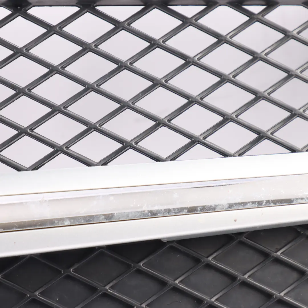 Mercedes SLK AMG SP 2013 Protective Grill Grille Radiator Carrier - SKU A1728880560 - Part number A1728880560