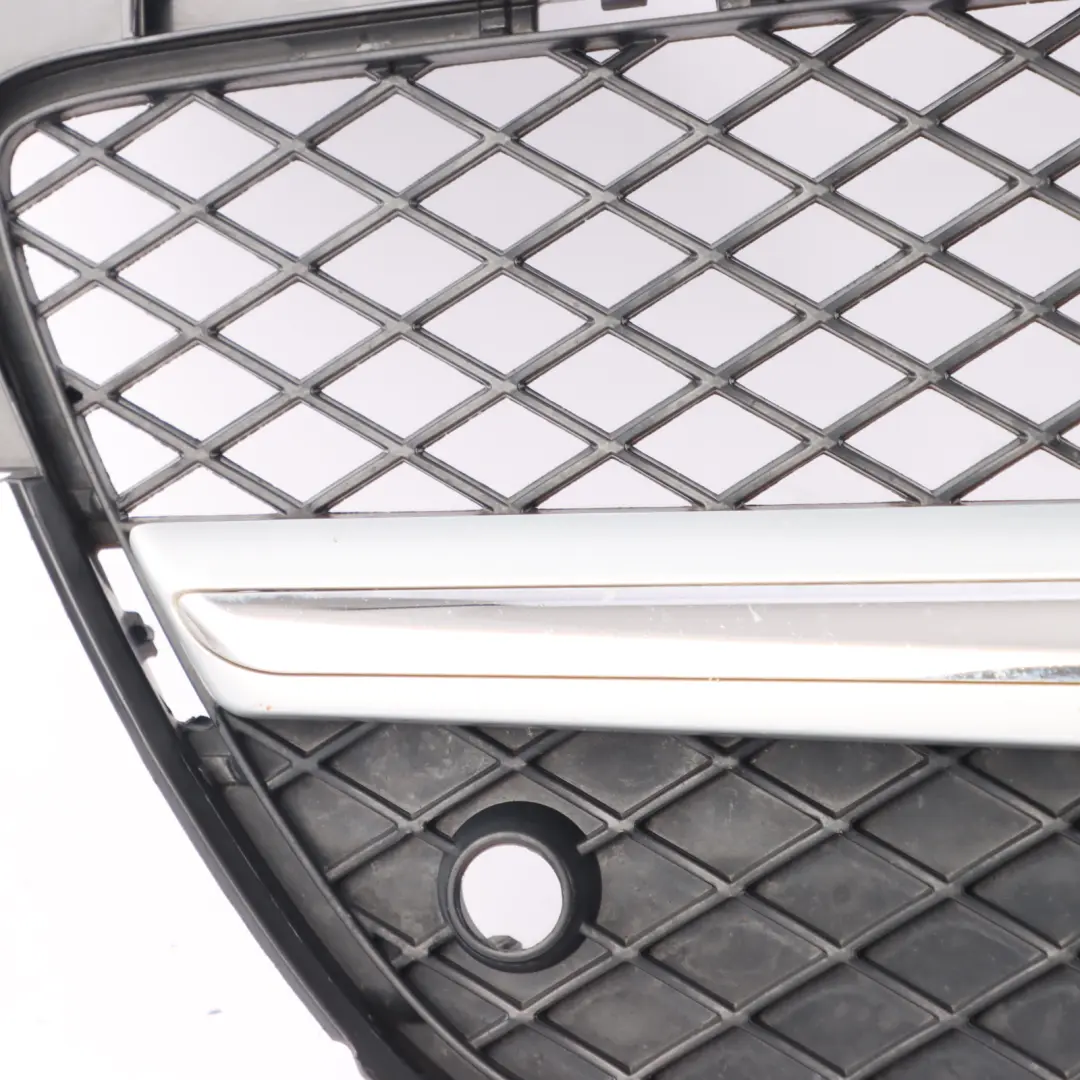 Mercedes SLK AMG SP 2013 Protective Grill Grille Radiator Carrier - SKU A1728880560 - Part number A1728880560