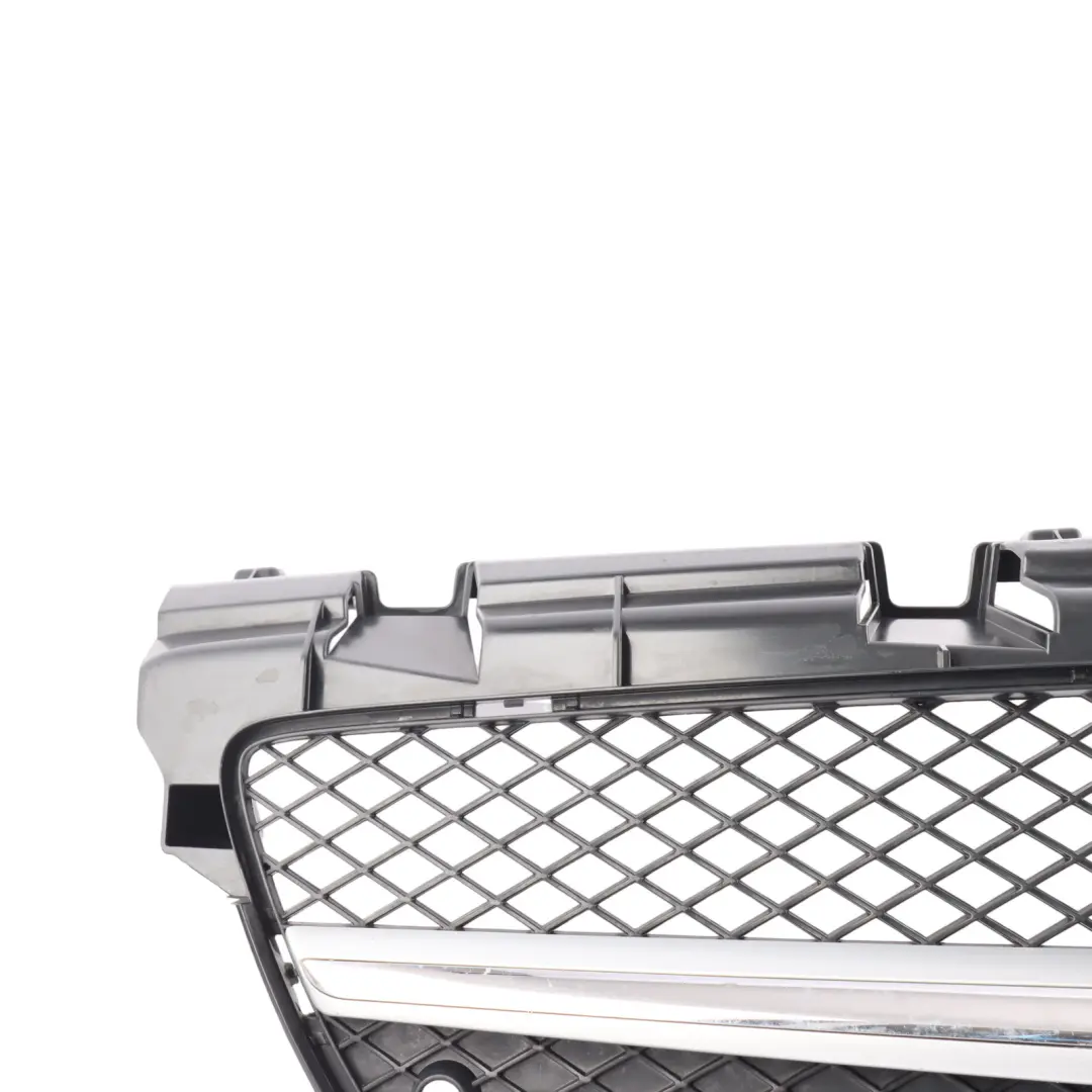 Mercedes SLK AMG SP 2013 Protective Grill Grille Radiator Carrier - SKU A1728880560 - Part number A1728880560