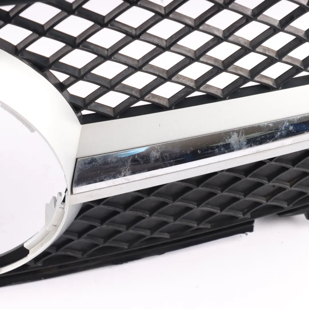 2013 Protective Grill Grille Radiator Carrier to Mercedes SLK AMG SP with Part number A1728880560 Mercedes SLK AMG SP 2013 Protective Grill Grille Radiator Carrier - SKU A1728880560 - Part number A1728880560