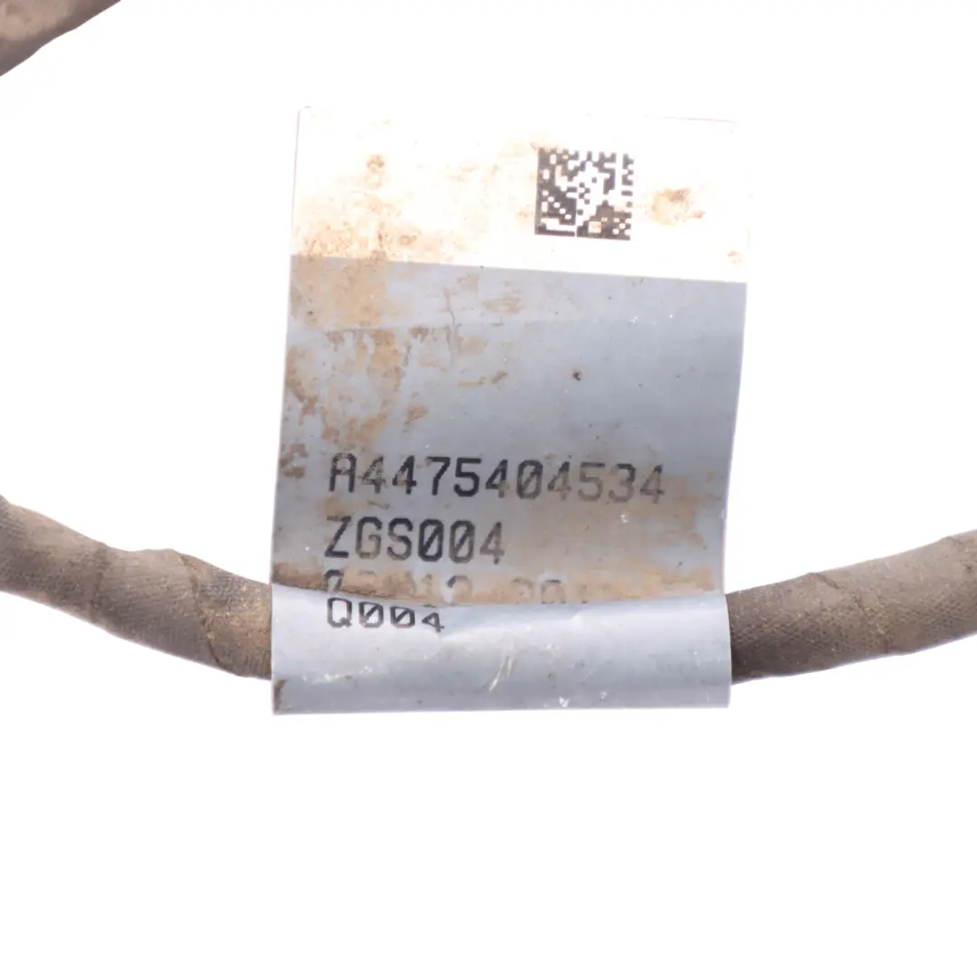 Mercedes W447 Electronical Wiring Harness Parktronic Parking Aid - SKU A4475404534 - Part number A4475404534