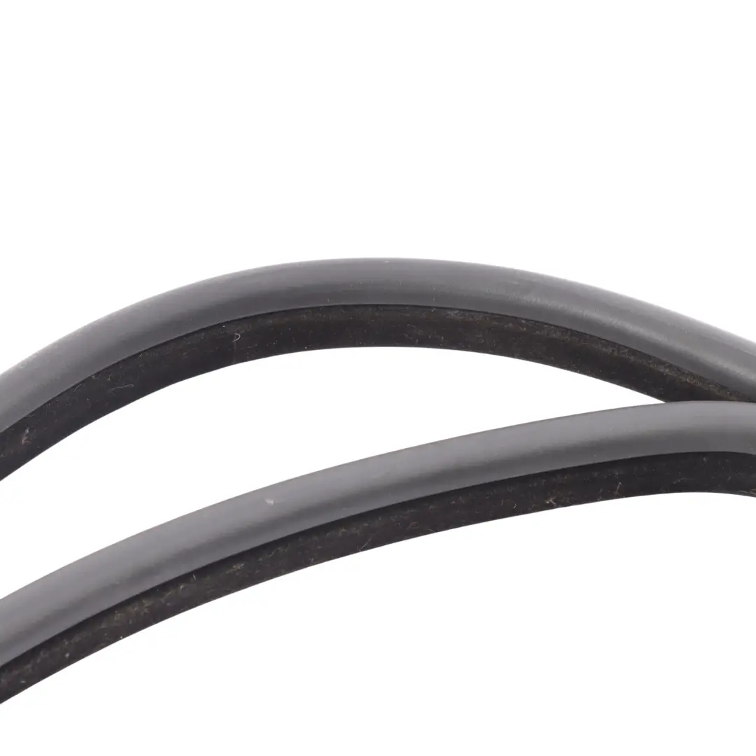 Range Rover L538 Guarnizione Porta Posteriore Sinistra Destra - SKU BJ32-253A10-A - Numero di parte BJ32-253A10-A