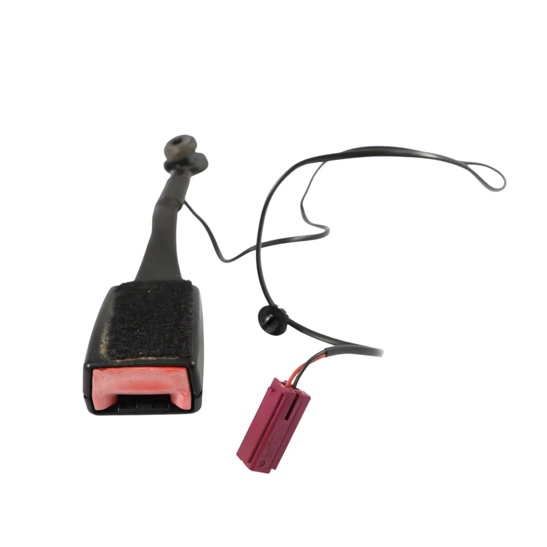 Gancio Per Cintura Di Sicurezza Anteriore Sinistra Destra per Ford Fiesta Mk7 con numero di parte C1BB-B61208-BB Ford Fiesta Mk7 Gancio Per Cintura Di Sicurezza Anteriore Sinistra Destra - SKU C1BB-B61208-BB - Numero di parte C1BB-B61208-BB