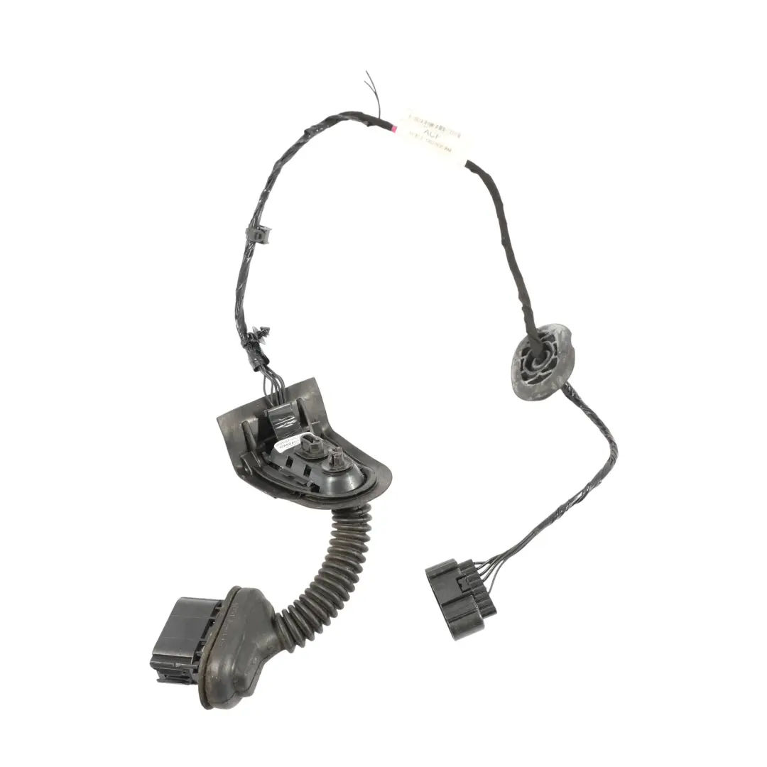 Mazo Cables Puerta Trasera Izquierda C1BT14027ACF 2008887 para Ford Fiesta Mk7 con número de pieza C1BT-14027-ACF Ford Fiesta Mk7 Mazo Cables Puerta Trasera Izquierda C1BT14027ACF 2008887 - SKU C1BT-14027-ACF - Número de pieza C1BT-14027-ACF