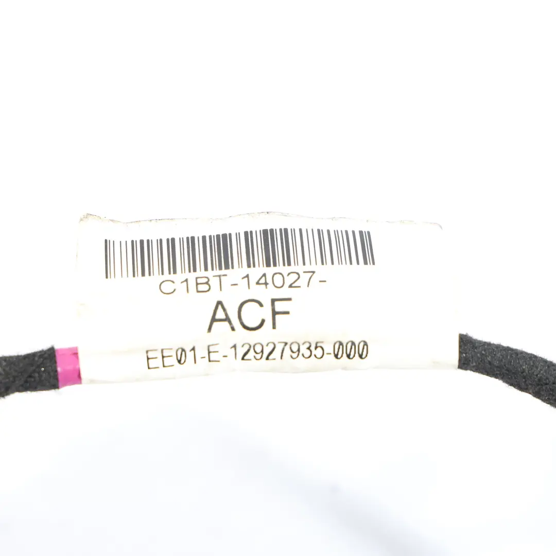 Ford Fiesta Mk7 Mazo Cables Puerta Trasera Izquierda C1BT14027ACF 2008887 - SKU C1BT-14027-ACF - Número de pieza C1BT-14027-ACF