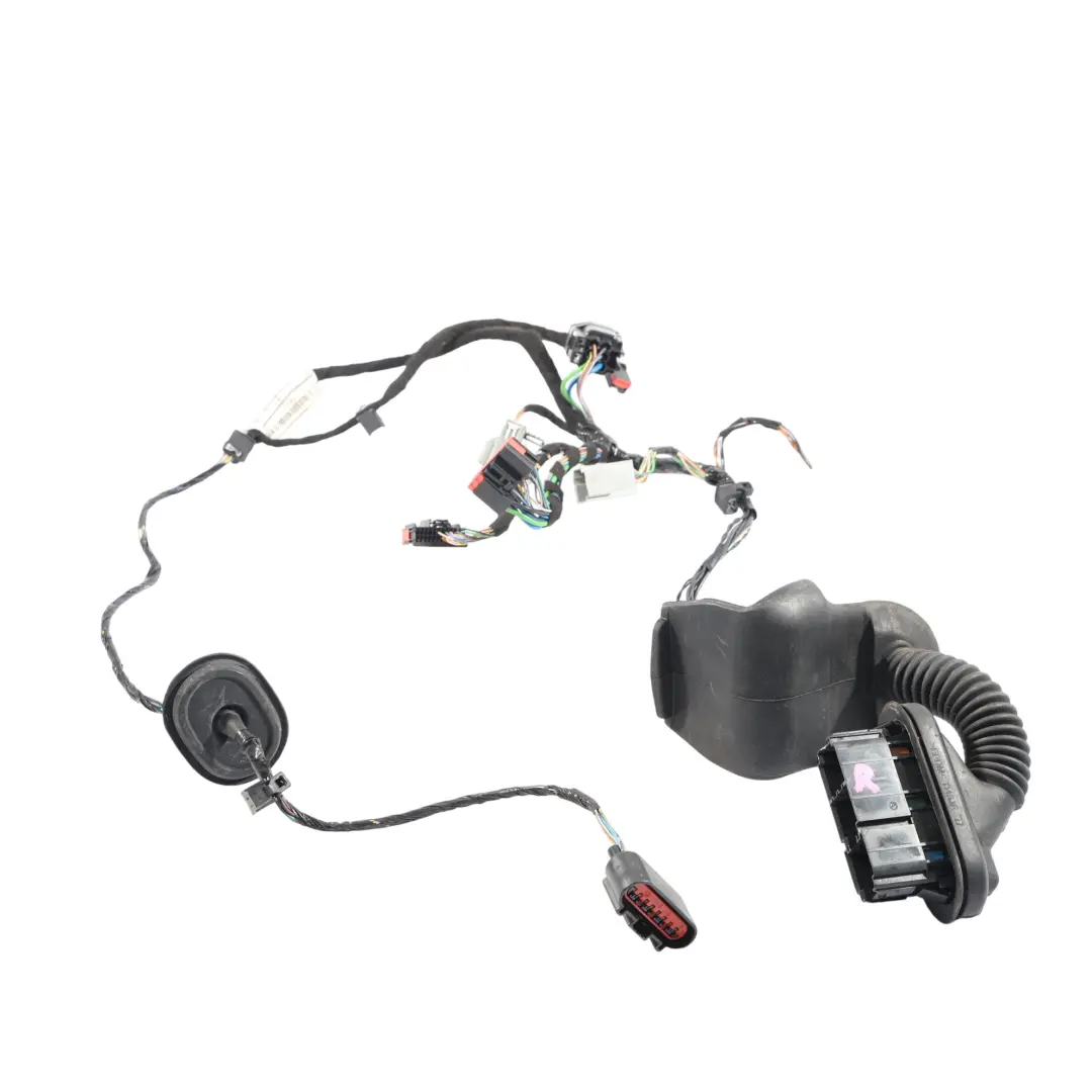 3Dr Cableado Puerta Delantera Derecha C1BT-14A584-BDF para Ford Fiesta Mk7 con número de pieza C1BT-14A584-DBG Ford Fiesta Mk7 3Dr Cableado Puerta Delantera Derecha C1BT-14A584-BDF - SKU C1BT-14A584-DBG - Número de pieza C1BT-14A584-DBG