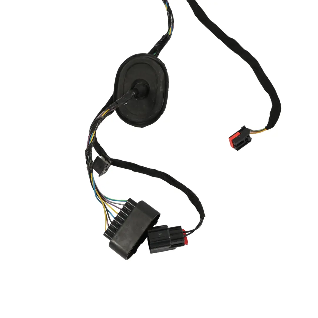 Ford Fiesta VII Cableado Puerta Delantera Cable Izquierdo - SKU C1BT-14K138-BDF - Número de pieza C1BT-14K138-BDF