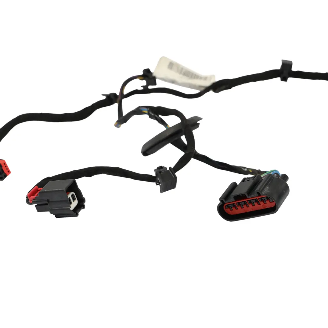 Ford Fiesta VII Cavo Cablaggio Porta Anteriore Sinistra - SKU C1BT-14K138-BDF - Numero di parte C1BT-14K138-BDF