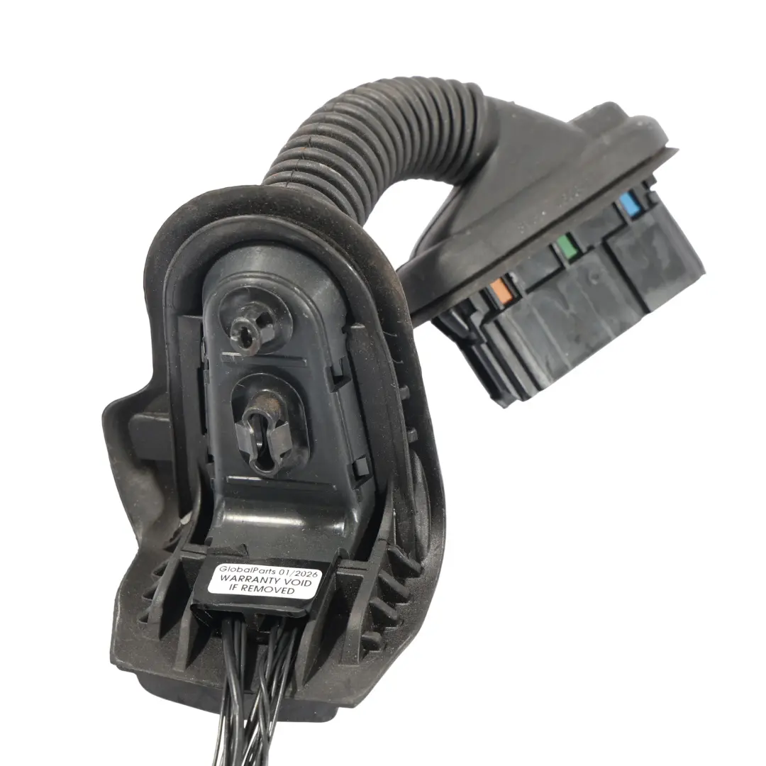 Arnés Cables Parte Delantera Izquierda Pasajero C1BT14K138BDG para Ford Fiesta Mk7 con número de pieza C1BT-14K138-BDG Ford Fiesta Mk7 Arnés Cables Parte Delantera Izquierda Pasajero C1BT14K138BDG - SKU C1BT-14K138-BDG - Número de pieza C1BT-14K138-BDG