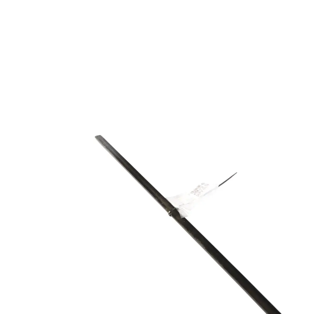 Land Rover Discovery 3 L319 Outer Weatherstrip Trim Rear Right O/S - SKU CGE000502 - Part number CGE000502