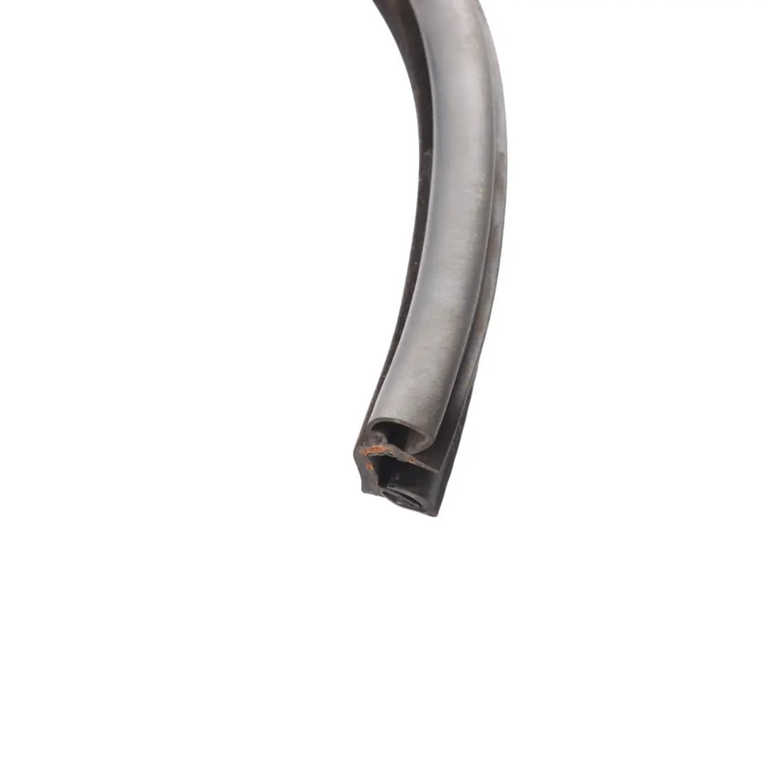 Range Rover L405 Rear Door Seal Gasket Rubber Left Right N/O/S CK52-253A10-AC - SKU LR034111 - Part number LR034111