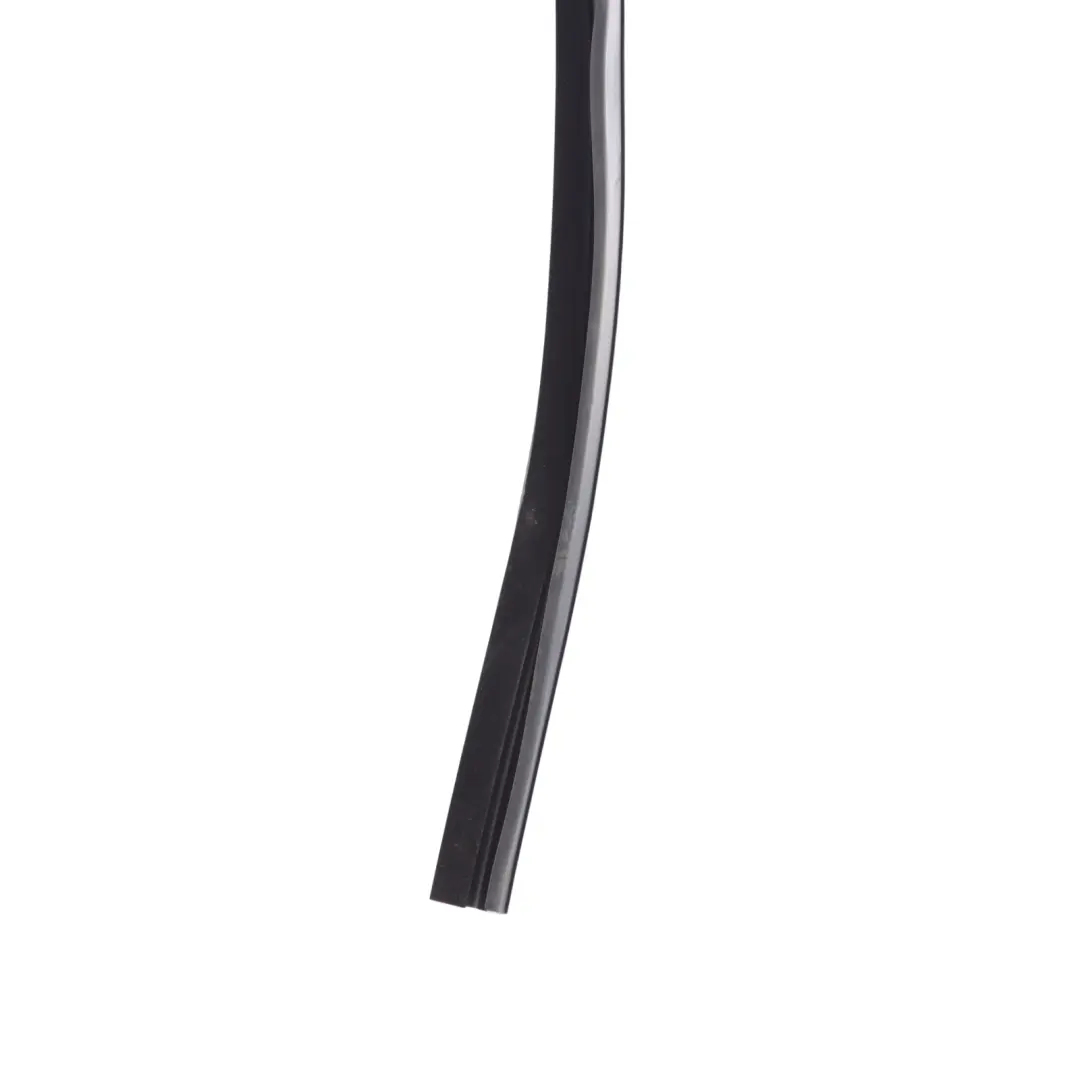 Land Rover Discovery Sport Weatherstrip Seal Trim Rear Upper Right O/S - SKU LR058559 - Part number LR058559