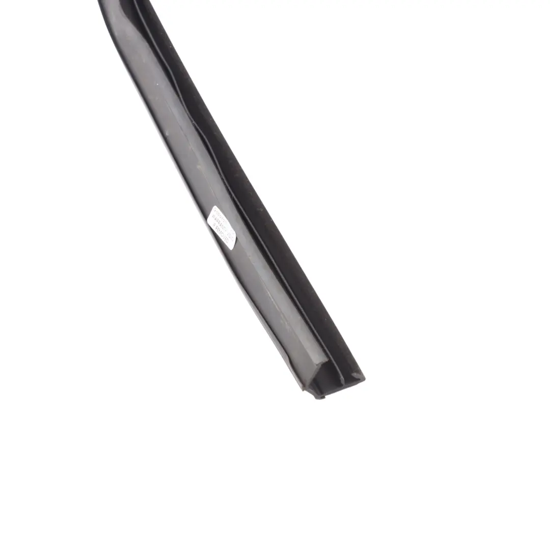 Land Rover Discovery L550 Window Weatherstrip Seal Door Rear Left N/S - SKU LR058560 - Part number LR058560