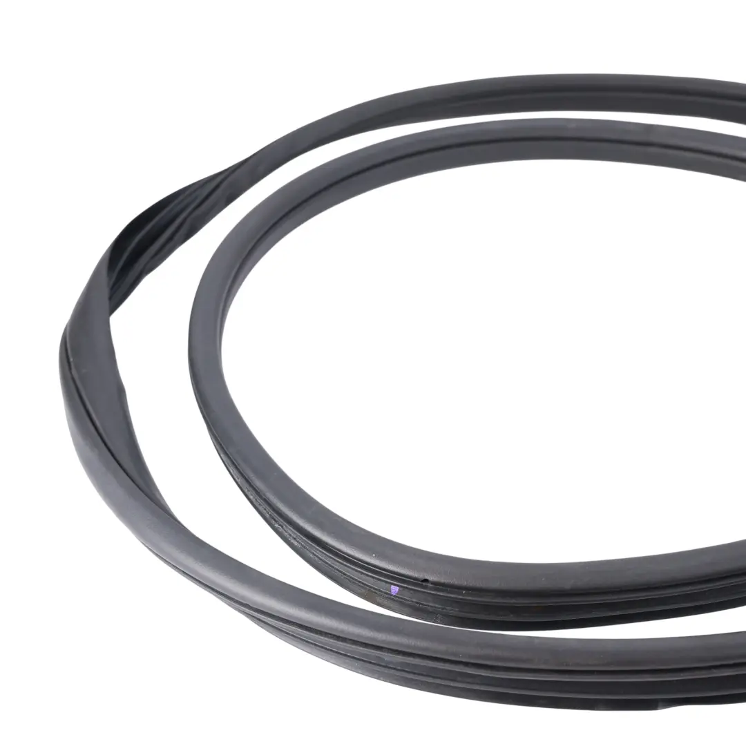 Mk6 Burlete Puerta Trasera Izquierda EB3B-2620783-AB para Ford Ranger Wildtrak con número de pieza 1923756 Ford Ranger Wildtrak Mk6 Burlete Puerta Trasera Izquierda EB3B-2620783-AB - SKU 1923756 - Número de pieza 1923756