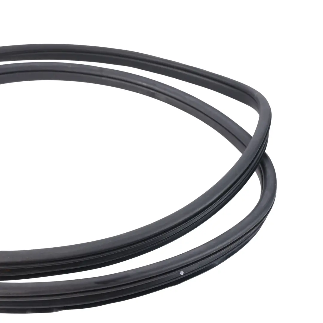 Ford Ranger Wildtrak Mk6 Guarnizione Porta Posteriore Sinistra EB3B-2620783-AB - SKU 1923756 - Numero di parte 1923756