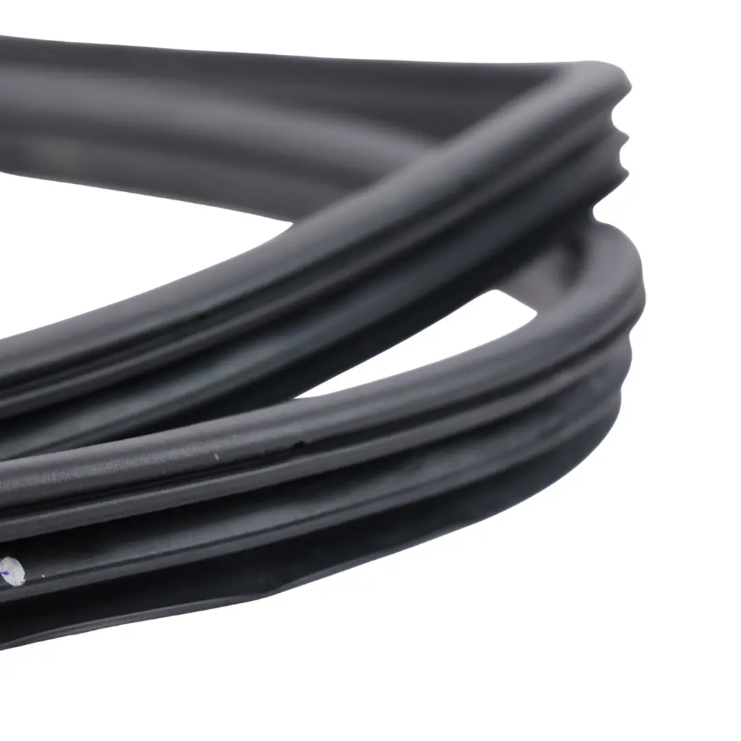 Ford Ranger Wildtrak Mk6 Rear Door Weatherstrip Seal Left N/S EB3B-2620783-AB - SKU 1923756 - Part number 1923756