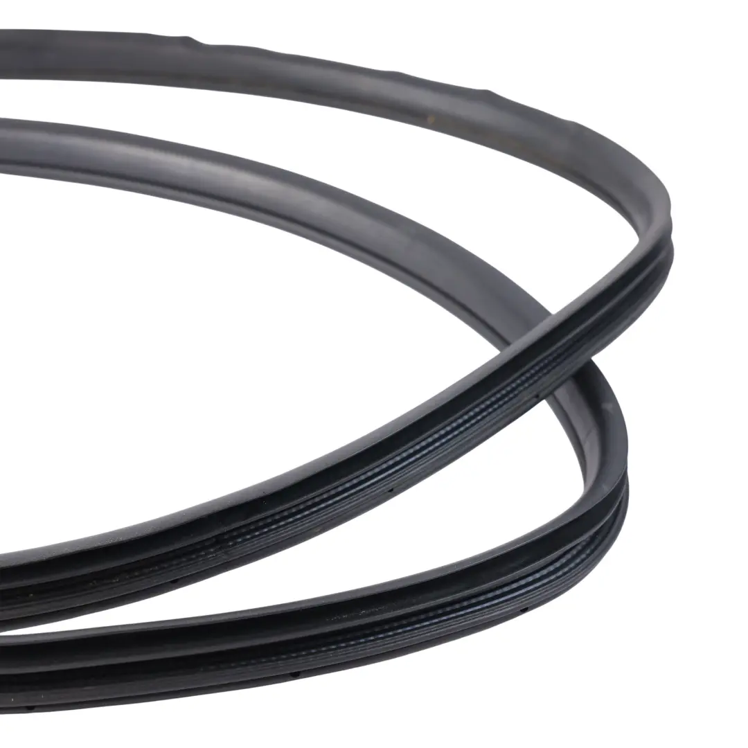 Ford Ranger Wildtrak Mk6 Guarnizione Porta Posteriore Sinistra EB3B-2620783-AB - SKU 1923756 - Numero di parte 1923756