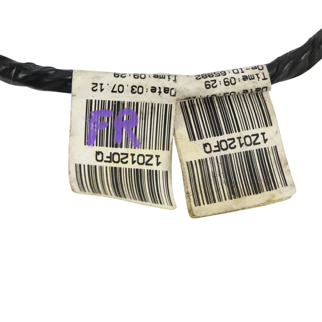 Arnés Cableado Puerta Delantero Conductor para Skoda Octavia II con número de pieza 1Z0971120FQ Skoda Octavia II Arnés Cableado Puerta Delantero Conductor - SKU 1Z0971120FQ - Número de pieza 1Z0971120FQ