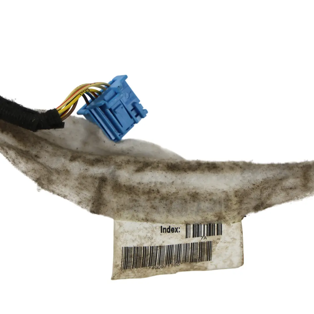 Faisceau Câblage Ciel de Toit pour Audi A6 C7 A7 4G à propos du numéro de pièce 4G0971100 Audi A6 C7 A7 4G Faisceau Câblage Ciel de Toit - SKU 4G0971100 - Numéro de pièce 4G0971100