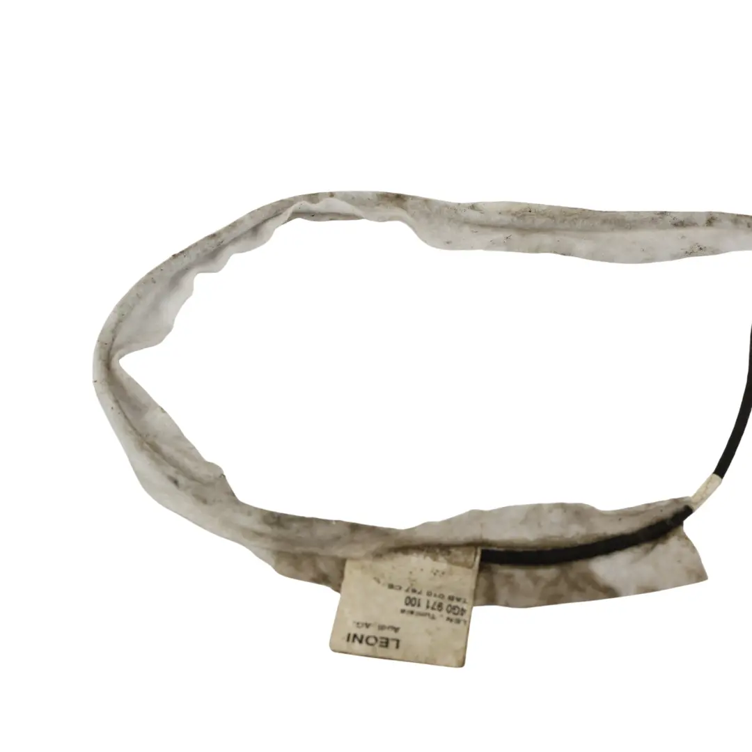 Audi A6 C7 A7 4G Arnés Cableado Techo Interior - SKU 4G0971100 - Número de pieza 4G0971100