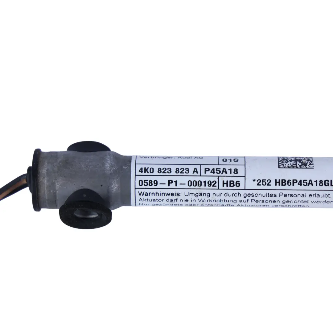 Actionneur De Charnière De Capot Gauche Droite pour Audi A6 C8 à propos du numéro de pièce 4K0823823A Audi A6 C8 Actionneur De Charnière De Capot Gauche Droite - SKU 4K0823823A - Numéro de pièce 4K0823823A