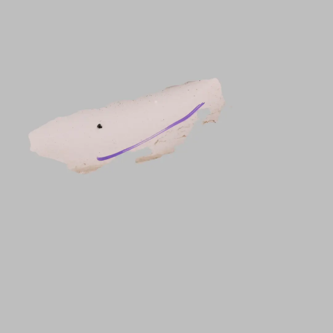 Door Sill Cover Moulding Strip Rear Left N/S Ibis White - Y9C to Audi Q7 4L with Part number 4L0853969F Audi Q7 4L Door Sill Cover Moulding Strip Rear Left N/S Ibis White - Y9C - SKU 4L0853969F-IWH - Part number 4L0853969F