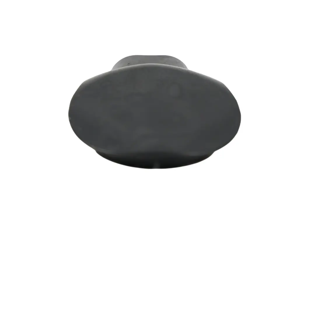 Front Absorber Cylinder Protection Cap to Audi S5 F5 Volkswagen Touareg with Part number 4M0412376A Audi S5 F5 Volkswagen Touareg Front Absorber Cylinder Protection Cap - SKU 4M0412376A - Part number 4M0412376A