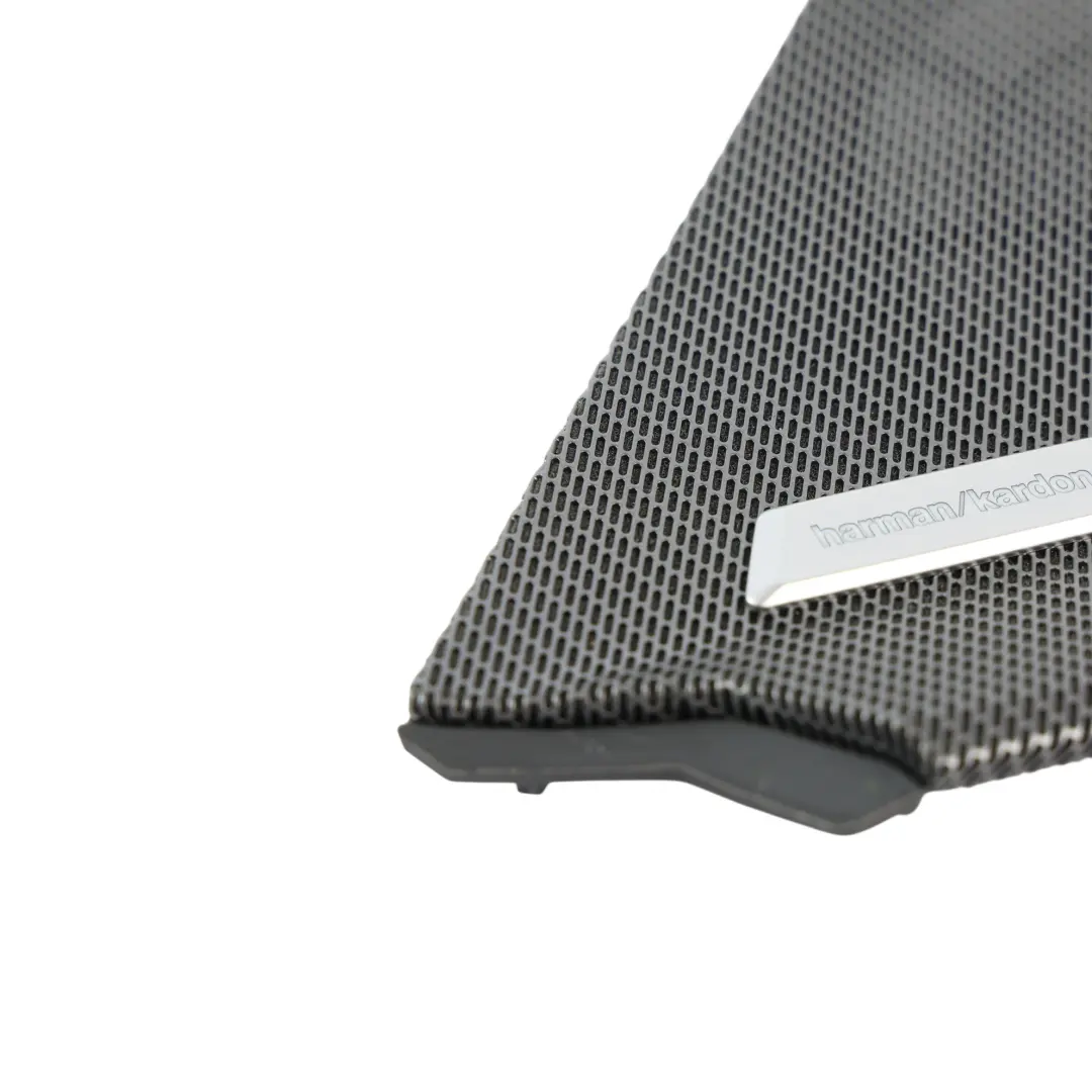 BMW F70 F74 Harman Kardon Altavoz Rejilla Puerta Delantera Izquierda - SKU 5A49551 - Número de pieza 5A49551