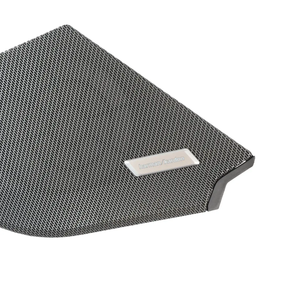 F74 Gran Coupé Cubierta Altavoz Puerta Delantera Derecha para BMW con número de pieza 5A49552 BMW F74 Gran Coupé Cubierta Altavoz Puerta Delantera Derecha - SKU 5A49552 - Número de pieza 5A49552