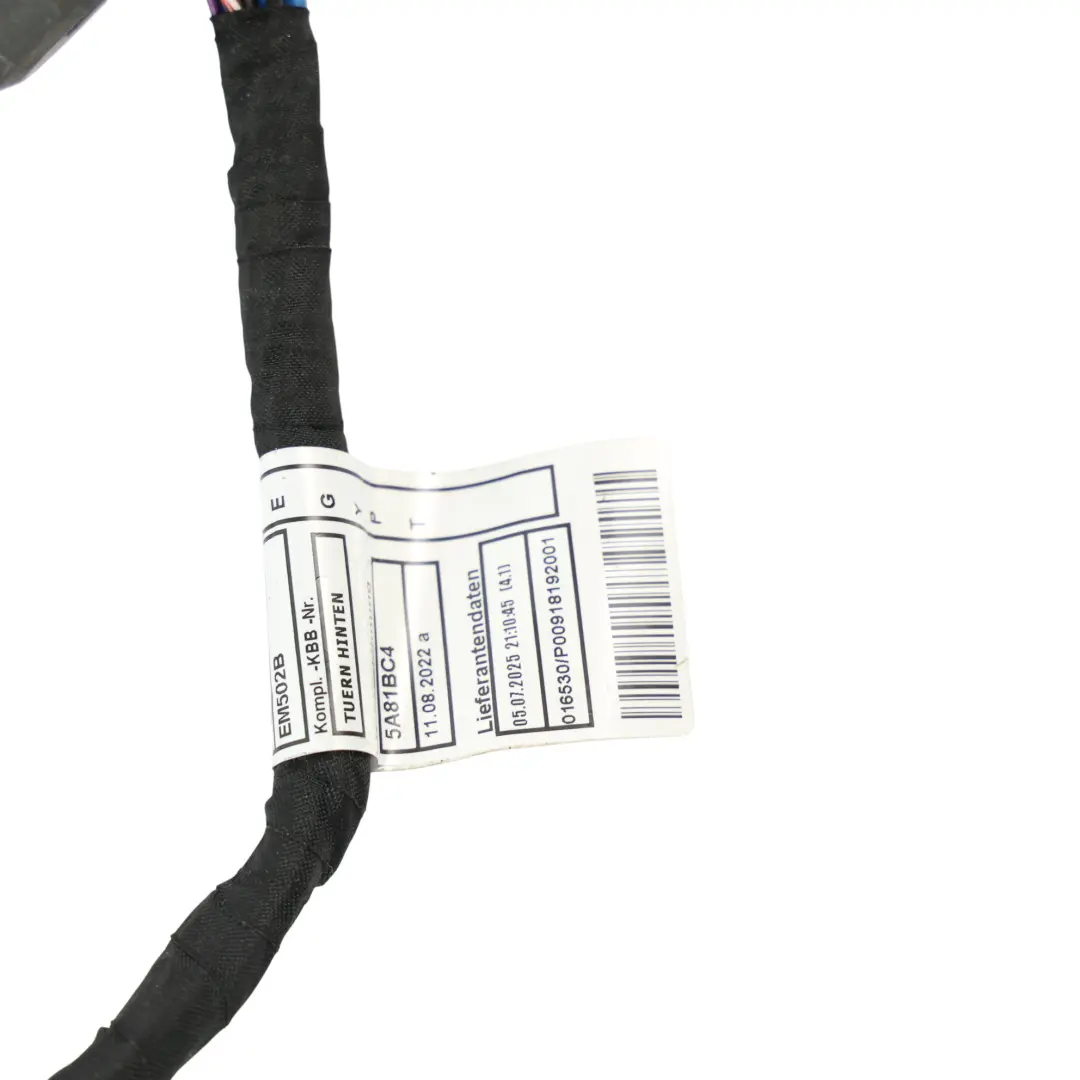 BMW F74 Cavo Cablaggio Porta Posteriore Sinistra Destra - SKU 5A81BC5 - Numero di parte 5A81BC5