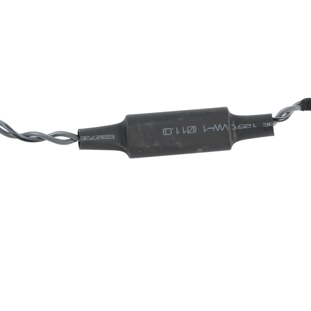 BMW F70 F74 Hochtöner Lautsprecher Türkarte Vorne Links Rechts 5B5DB29 - SKU 5B715A3 - Teilenummer 5B715A3