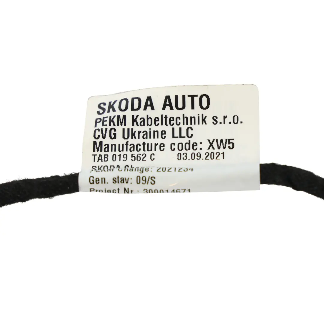 VRS Cableado Puerta Trasera Derecha para Skoda Octavia con número de pieza 5E3971694AC Skoda Octavia VRS Cableado Puerta Trasera Derecha - SKU 5E3971694AC - Número de pieza 5E3971694AC