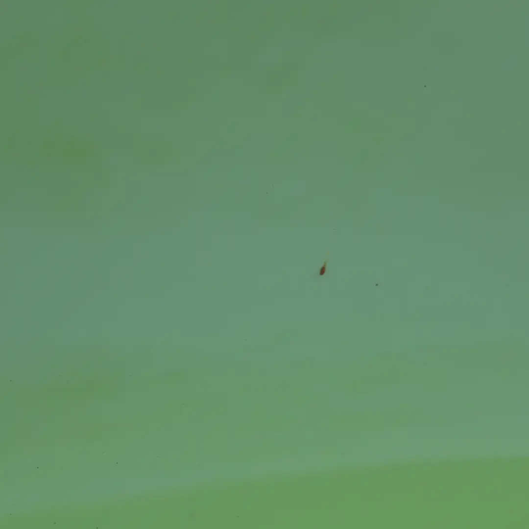 Skoda Octavia Mk4 Sedan Drzwi Lewe Tylne Zielone Mamba Green G6E - SKU 5E6833051-MAM - Numer Części 5E6833051